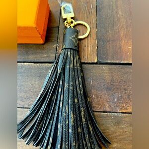 Louis Vuitton large purse/key chain